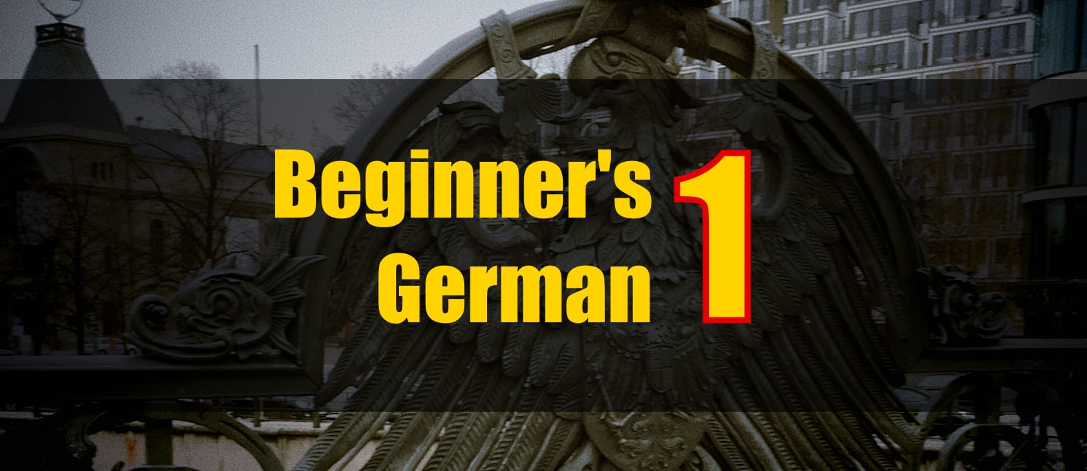 Beginner's German 1